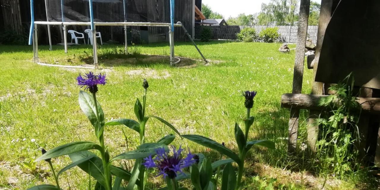 Vip-Zelten Im Garten - Camping Weischlitz Kültér fotó